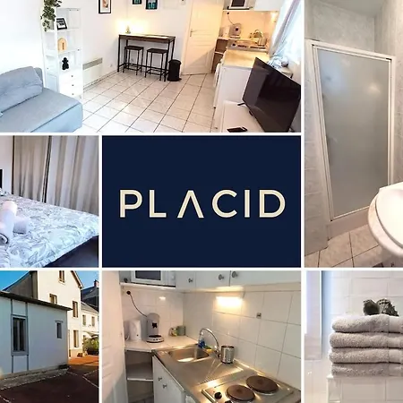 La Cour Palissy Appartement Tours