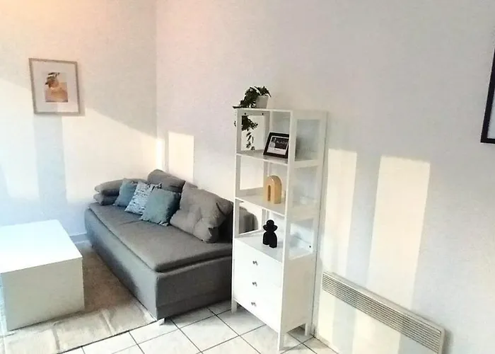 Appartement La Cour Palissy Tours